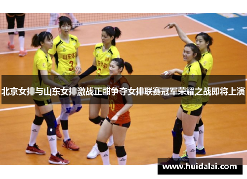 北京女排与山东女排激战正酣争夺女排联赛冠军荣耀之战即将上演