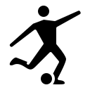 柳琴果